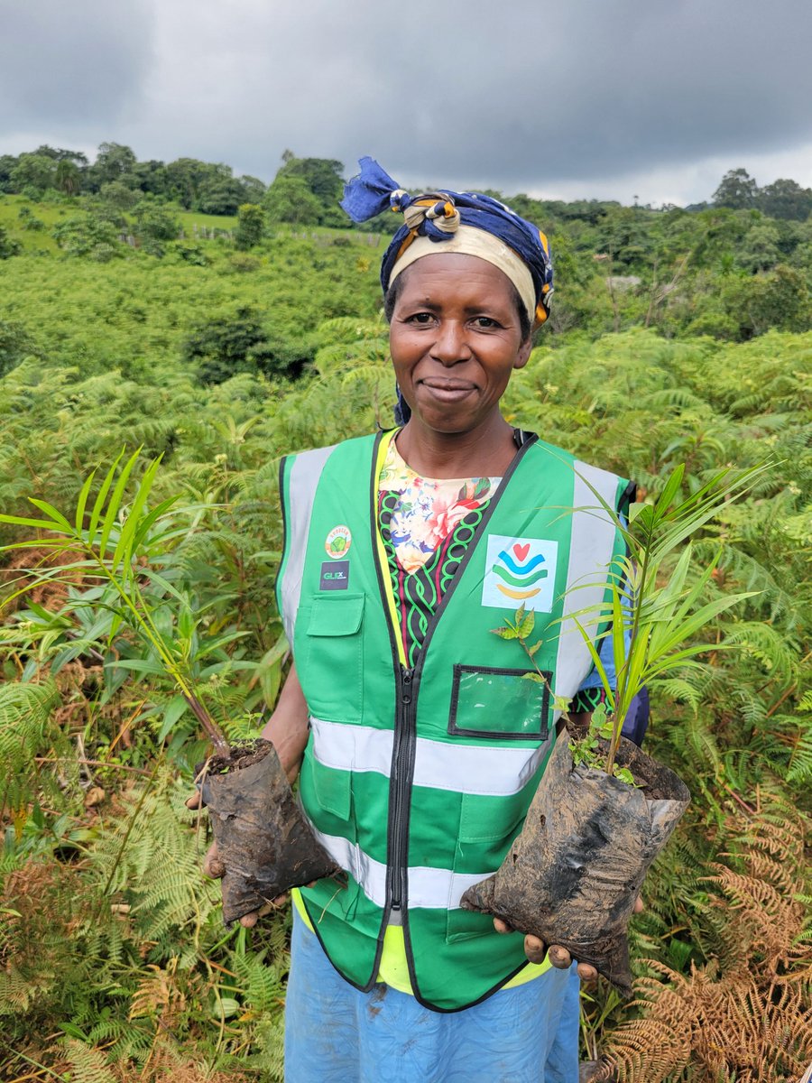 Sunday Geofrey (@sundaygeofrey5) on Twitter photo Delighted to be leading #community efforts to restore degraded watersheds and ensure sustainable water access for diverse water user groups in NW #CMR. <a href="/GlobalEbAFund/">Global EbA Fund</a> <a href="/africa_roots1/">African Roots Transformation</a> <a href="/Water/">Water.org</a> <a href="/SSuhucam/">Support Humanity Cameroon - SUHUCAM</a> <a href="/GlobalWaterWork/">GlobalWaterWorks</a> <a href="/UN_Water/">UN-Water</a> <a href="/adaptationfund/">Adaptation Fund</a> Delighted to be leading #community efforts to restore degraded watersheds and ensure sustainable water access for diverse water user groups in NW #CMR. <a href="/GlobalEbAFund/">Global EbA Fund</a> <a href="/africa_roots1/">African Roots Transformation</a> <a href="/Water/">Water.org</a> <a href="/SSuhucam/">Support Humanity Cameroon - SUHUCAM</a> <a href="/GlobalWaterWork/">GlobalWaterWorks</a> <a href="/UN_Water/">UN-Water</a> <a href="/adaptationfund/">Adaptation Fund</a>