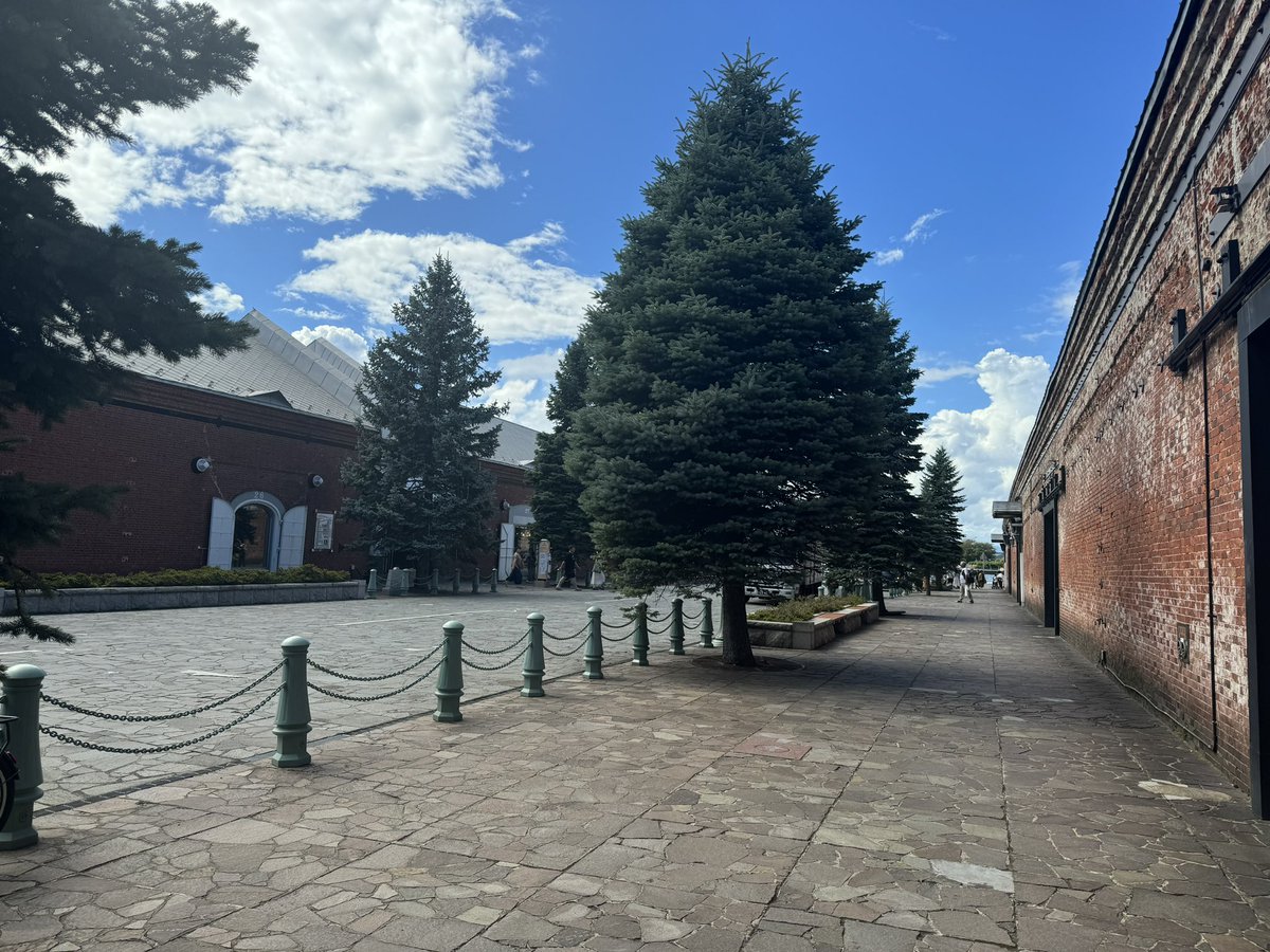 【#ファンタジー2025 展】4日目はじまりました！今日も良い天気☀️の函館です。