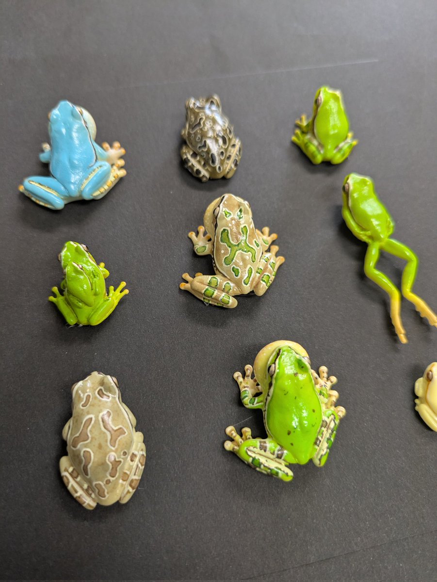 特別価格★【版画（額縁なし）】『碧眼のギロ』（カエル） 特別価格☆【版画（額縁なし）】碧眼のギロ（カエル）