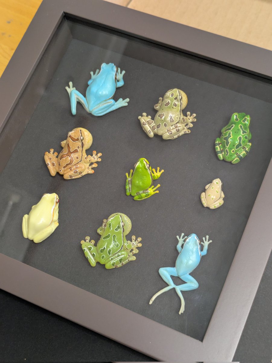 特別価格★【版画（額縁なし）】『碧眼のギロ』（カエル） 特別価格☆【版画（額縁なし）】碧眼のギロ（カエル）