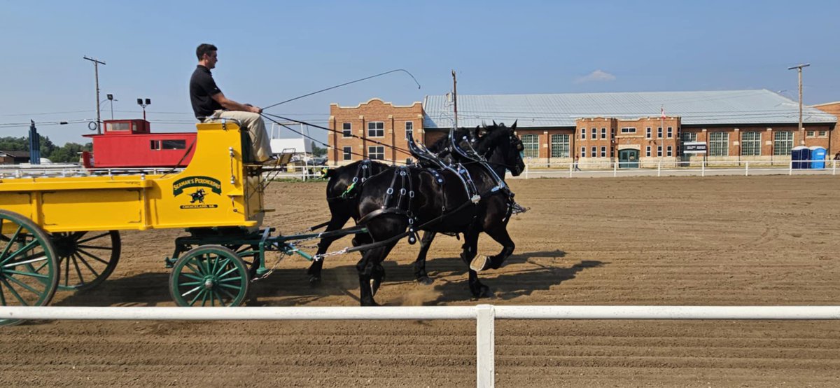 Made it into the PA fair this past week for the first time in ten years!