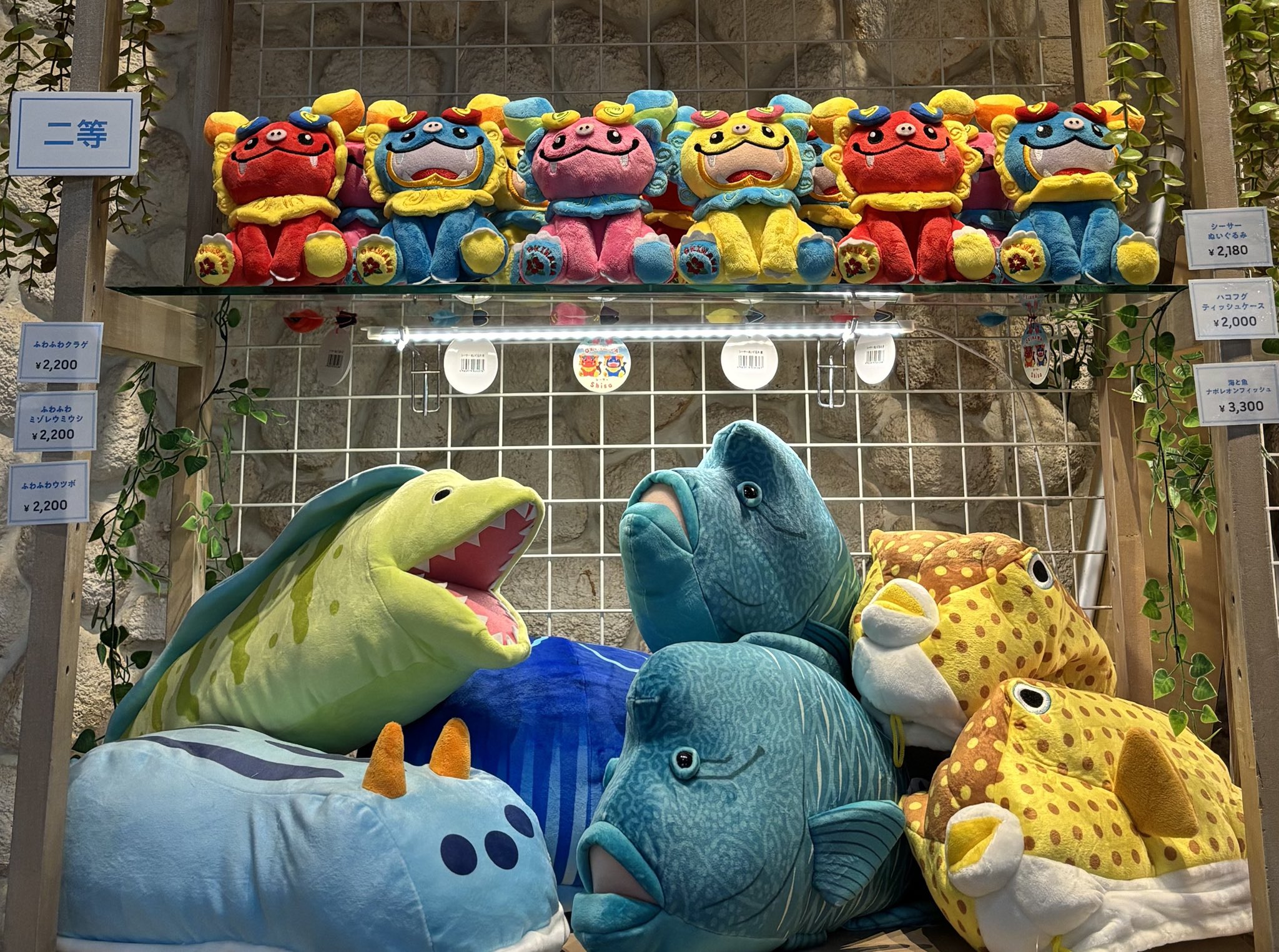 インテリア　海　キモ　開運 横浜開運水族館 フォーチュンアクアリウム on X: 