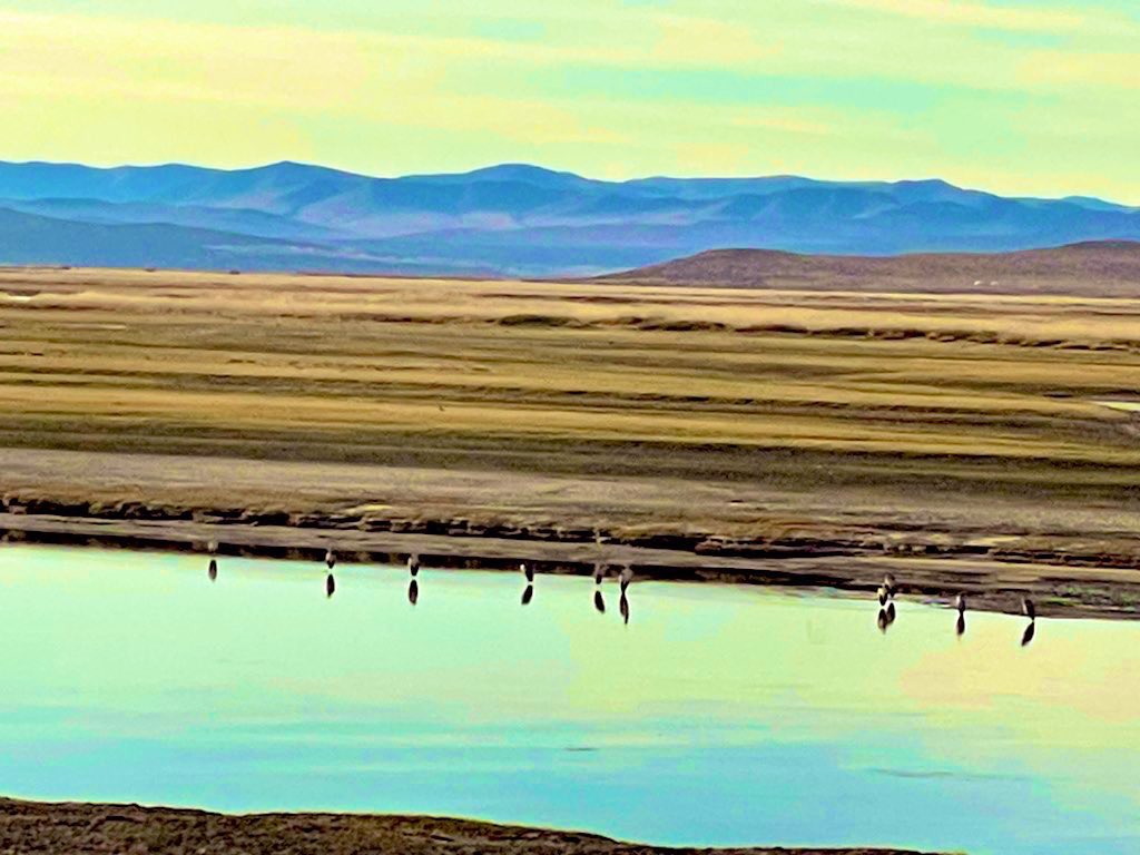 Шинэ сайхан өглөөний мэндээ Өргөн олон. Амралтын сайхан өдрөө амгалан, жаргалтай өнгөрүүлээрэй 😊💐🥀🌹
Өнөөдөр сайхан өдөр болог😊