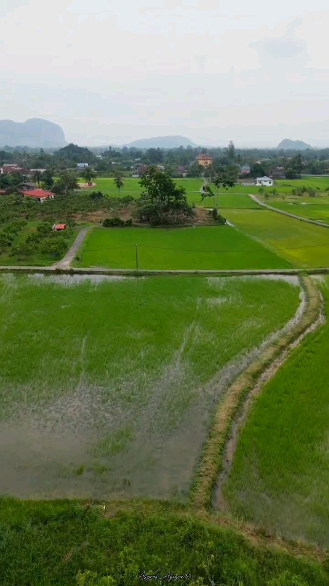 SALAM PERLIS

10 Ogos 2025 | 16 Safar 1447H

Selamat Pagi | Paya, Perlis 

Kredit 📸 : Mohd Asyraf Azizan 

#PerlisPermai #SelamatPagi #SalamPerlis #VisitPerlis #TahunMelawatPerlis #TMP20242025 #Perlis💛💙 #Malaysia🇲🇾