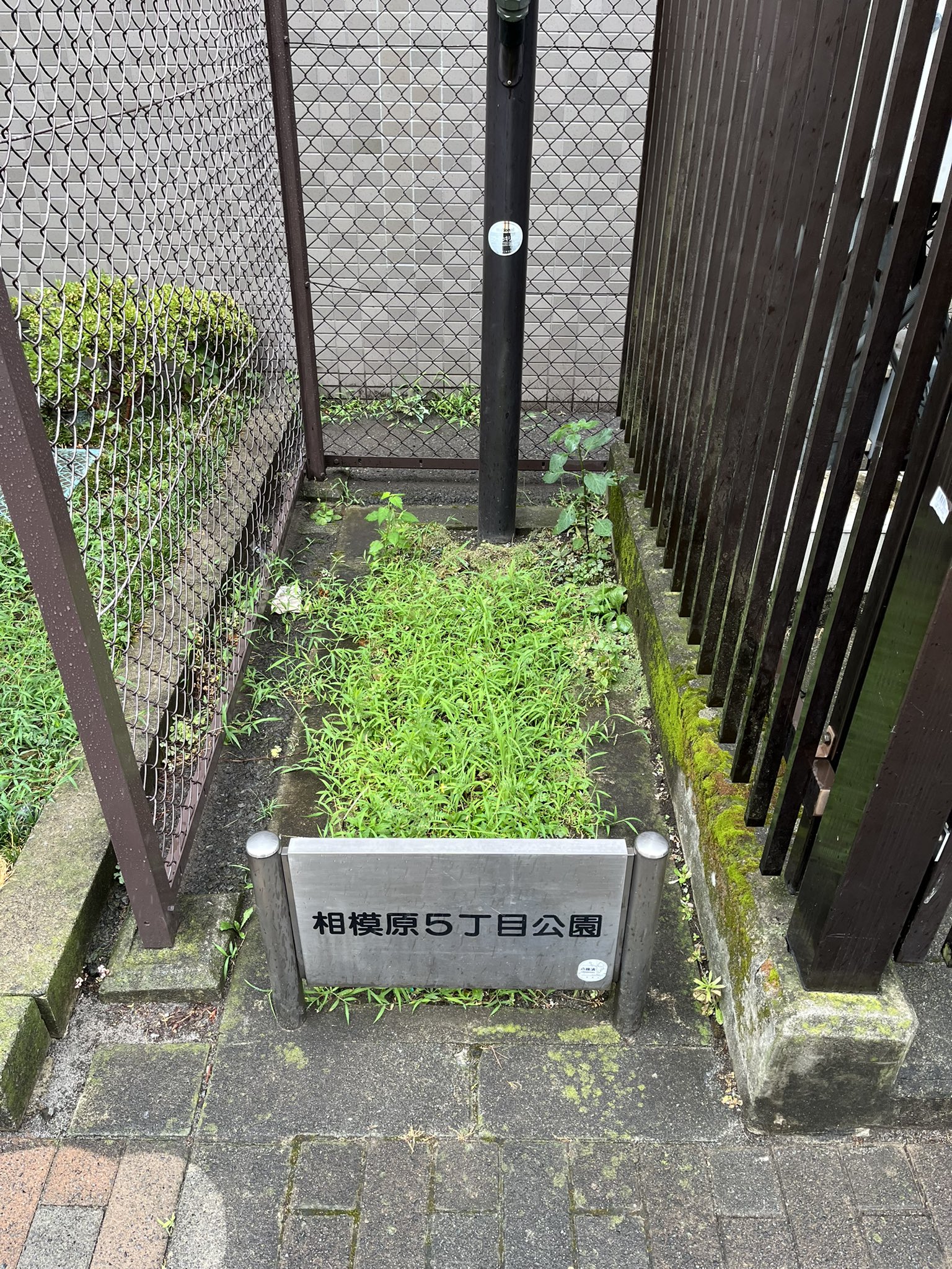 スレッドからの画像