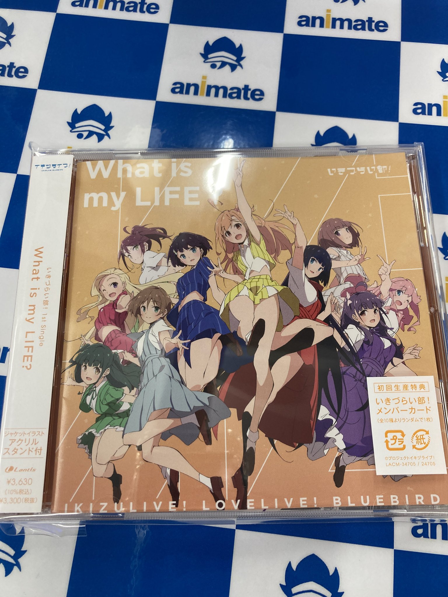 ラブライブ　GOODSMILE COMPANY  宣伝告知ポスター非売品　未使用 ラブライブ GOODSMILE COMPANY 宣伝告知ポスター非売品 未使用