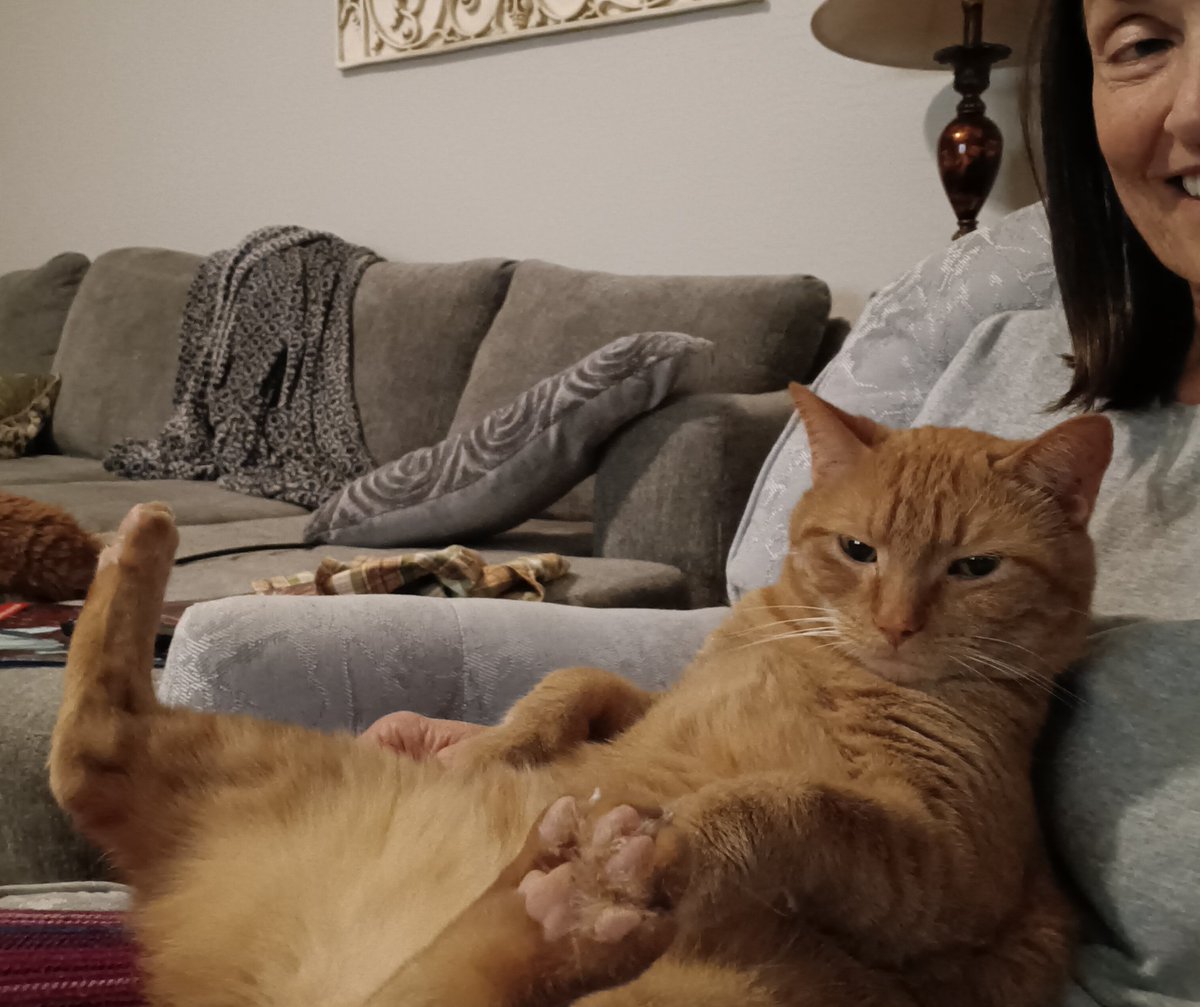 My boy, Cheeto Willie Mays. He's unusual to say the least. 🐈🐈‍⬛🐈 Happy #caturday everyone!