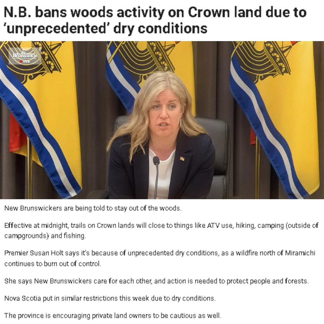 New Brunswick has joined Nova Scotia in banning people from the woods.

This is covid all over again. It's like Canadians learned NOTHING!