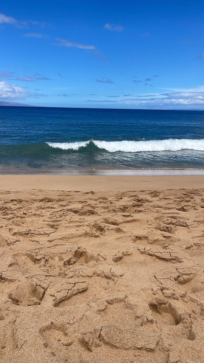 ggs twisted minds, but hi chat im in hawaii!