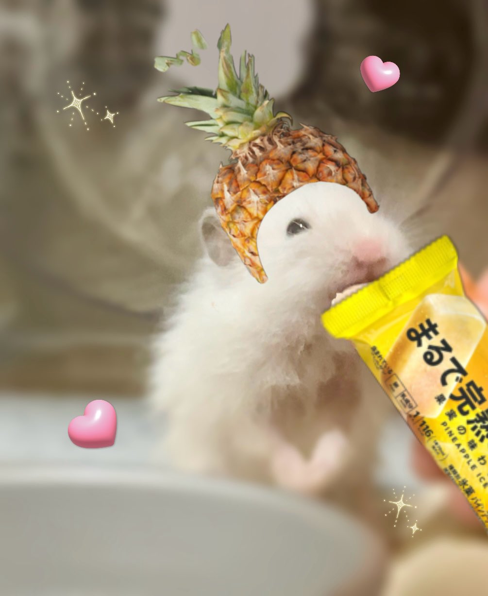 potato🐹 on X: 