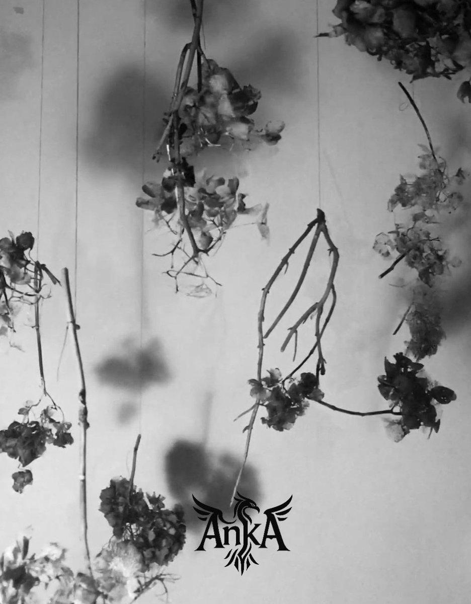 Ki şiir;
Bir tutsaklığın bitimidir..
Hürriyete kaçışın kanatlarıdır.
Arsız bir ümidin uçurtmasıdır,
Gökyüzünün yüreğine doğru uçurulan..