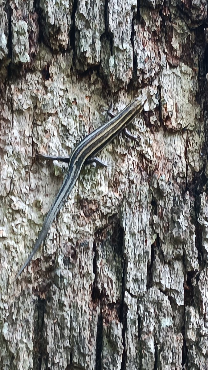 Joe Edmonds (@flight1919) on Twitter photo 