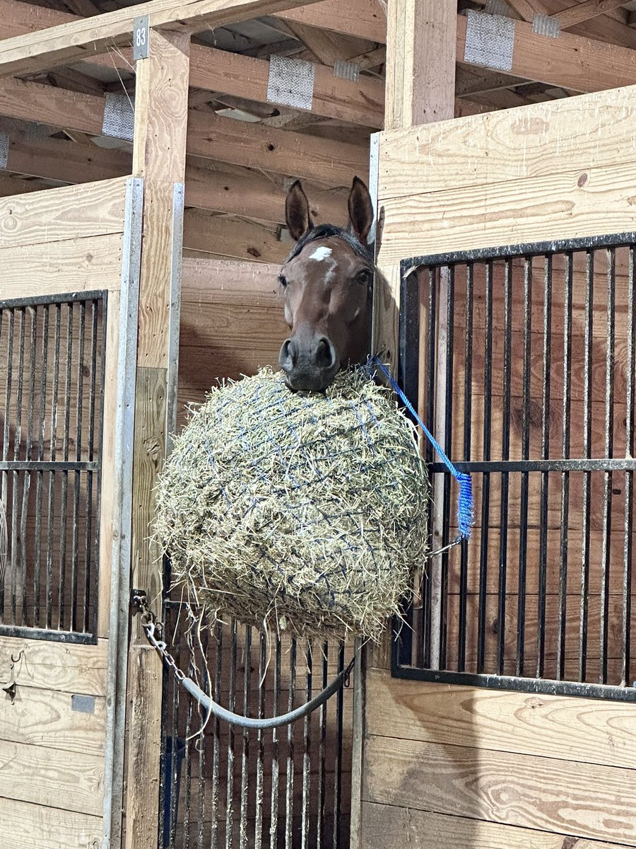 Tatiana Ryann tweet media