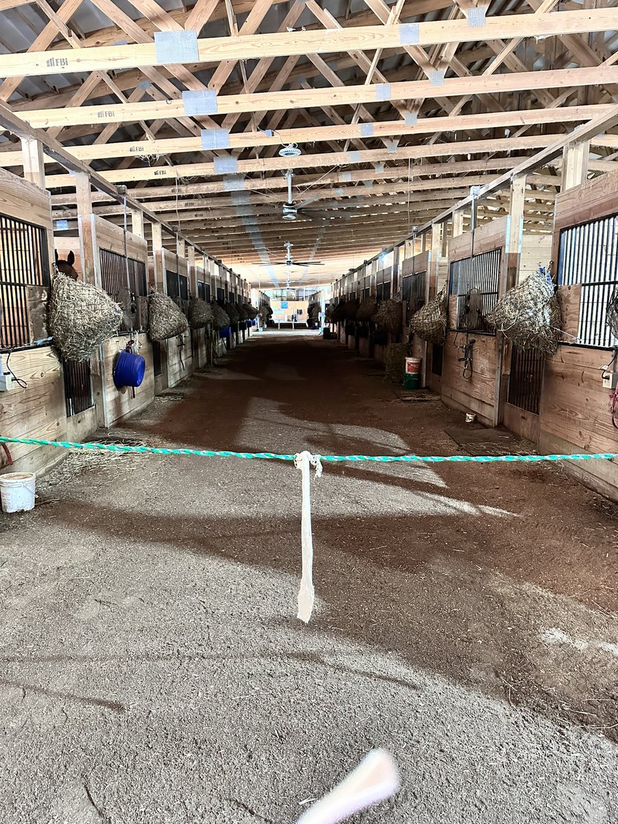 Tatiana Ryann tweet media