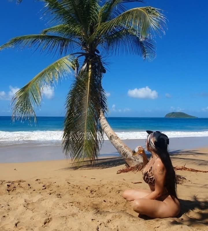 Palmera en el mar