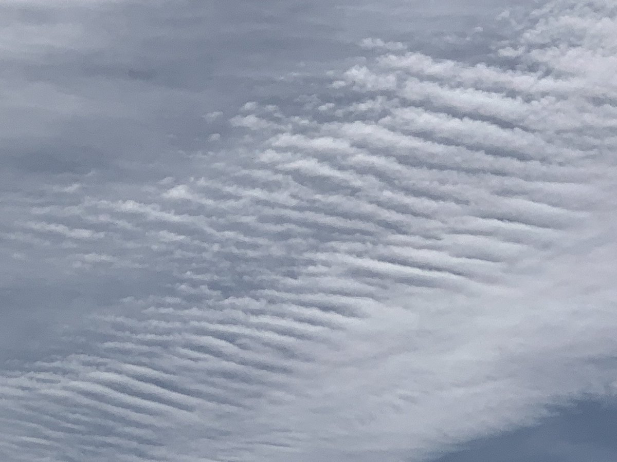 AnneWilkie52's tweet photo. There’s some nice gravity waves rolling into town from the west if anyone else is interested. lol.  
Best I could do with the phone. 😁
#yyc #abstorm https://t.co/i68ZrbXR8R