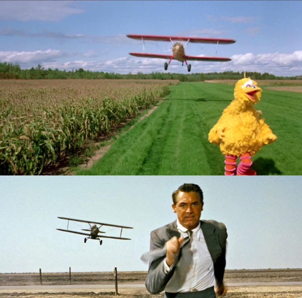 goodeveningpod's tweet photo. Is it a Birds reference, or NxNW? Lol. https://t.co/bWh0oy7bXm