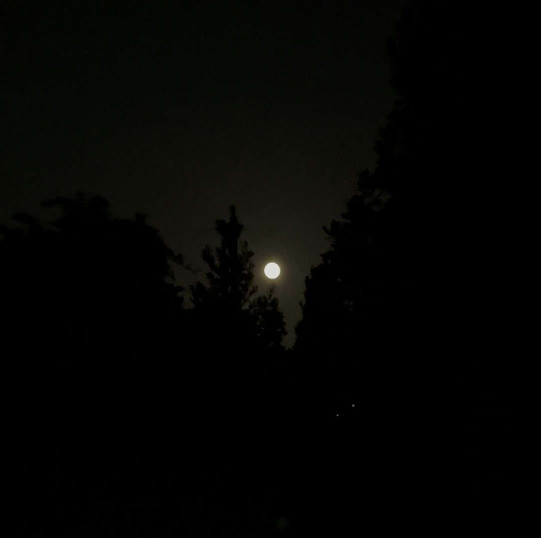 Beautiful Sturgeon Moon tonight in Windsor 🌕