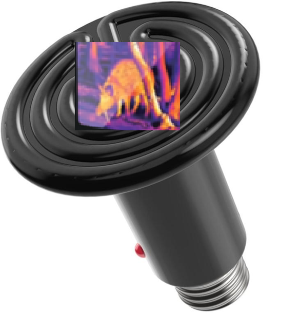 giammaiot2's tweet photo. If you were a passionate biologist and knew about indoor animal husbandry techniques,you'd be familiar with ceramic heat lamps... 
I could thermally reproduce the image of that wild boar quite faithfully with a heat exchange matrix.

#ArtTechnology

https://t.co/Ejepu3zZp7 https://t.co/6itRILioIw