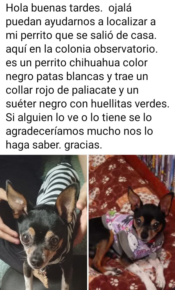 angy3636's tweet photo. @c4jimenez podría ayudarnos a compartir por favor?. lo seguimos buscando. ya no sabemos a donde más acudir. por favor solo ayúdenos compartiendo.  mil gracias https://t.co/ACgWZ09KYL