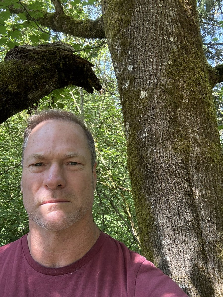 It certain parts of Canada, this is illegal and could lead to a 28,000 dollar fine😳