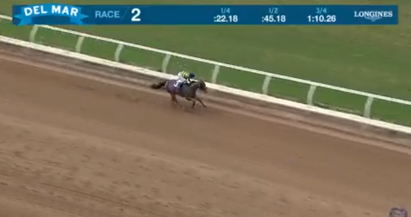 mike33024's tweet image. Let's get it Bottle Of Rouge!!! 

@BobBaffert again remind the world why D Wayne said he had the best eye for a thoroughbred in the world.

The GOAT doesn't need millions to find a nice horse, he got this girl for only 100K in late book Keeneland.

What a star she looks like! 🌟