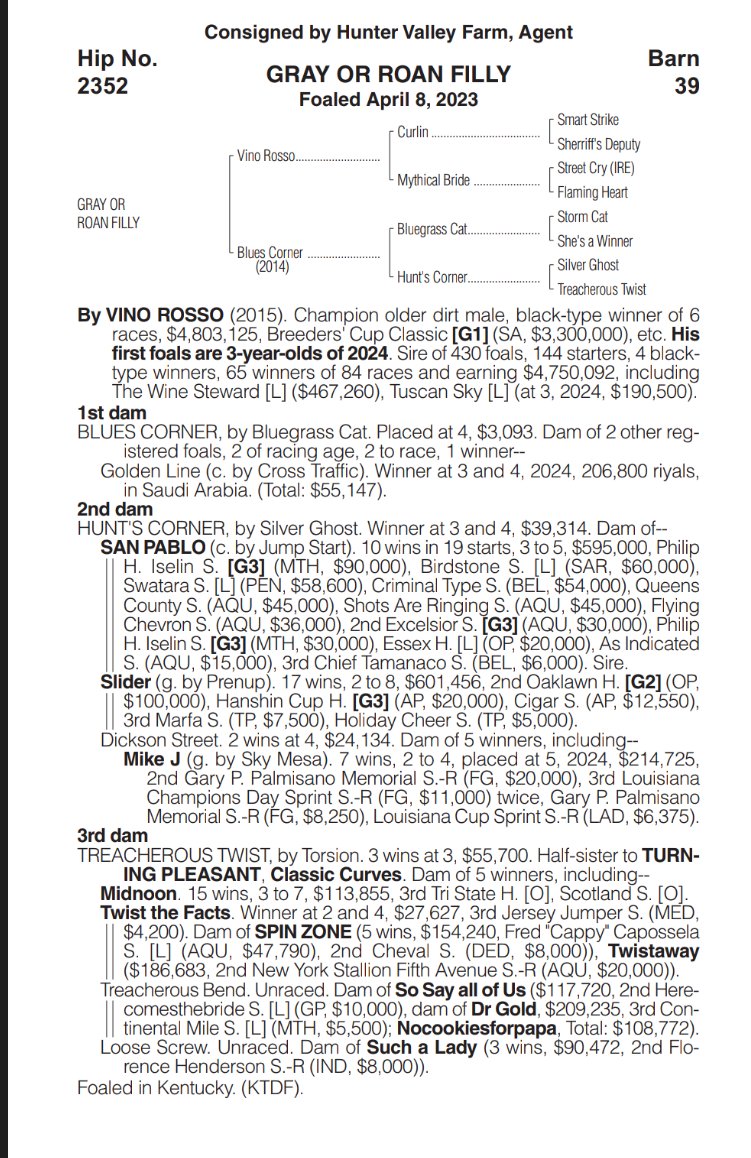 mike33024's tweet image. Let's get it Bottle Of Rouge!!! 

@BobBaffert again remind the world why D Wayne said he had the best eye for a thoroughbred in the world.

The GOAT doesn't need millions to find a nice horse, he got this girl for only 100K in late book Keeneland.

What a star she looks like! 🌟