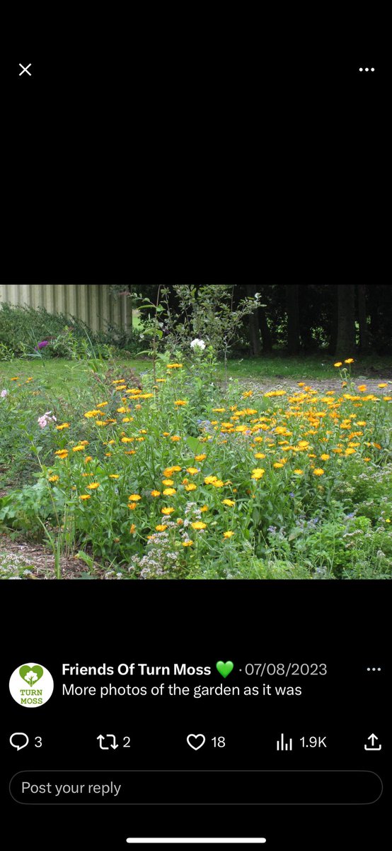 Friends Of Turn Moss 💚 tweet media