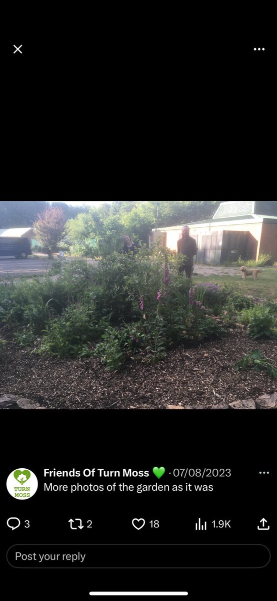Friends Of Turn Moss 💚 tweet media