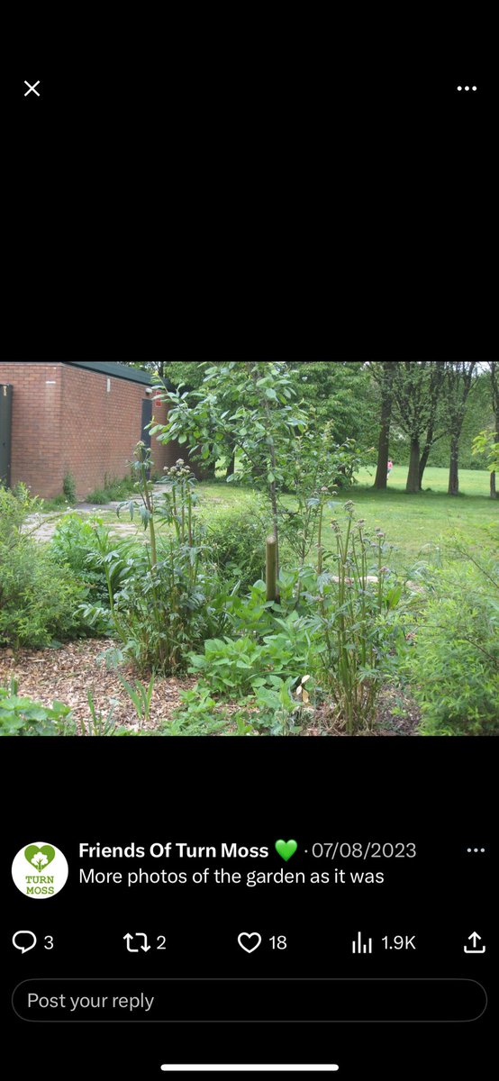 Friends Of Turn Moss 💚 tweet media