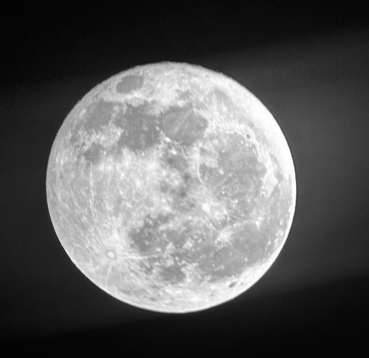 🇹🇳ⵣ إ tweet media