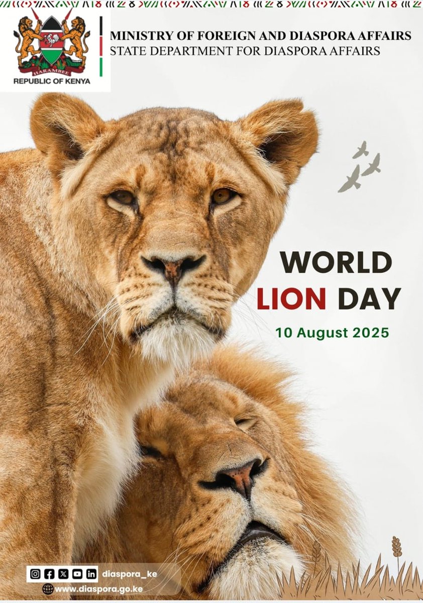 "There is a reason behind featuring lions on Kenya's coat of arms instead of any other animal. Inspired by the lion's spirit, we are committed to safeguarding our Kenyan Diaspora." - PS Njogu, CBS, during a diaspora engagement in Doha, Qatar #WorldLionDay2025