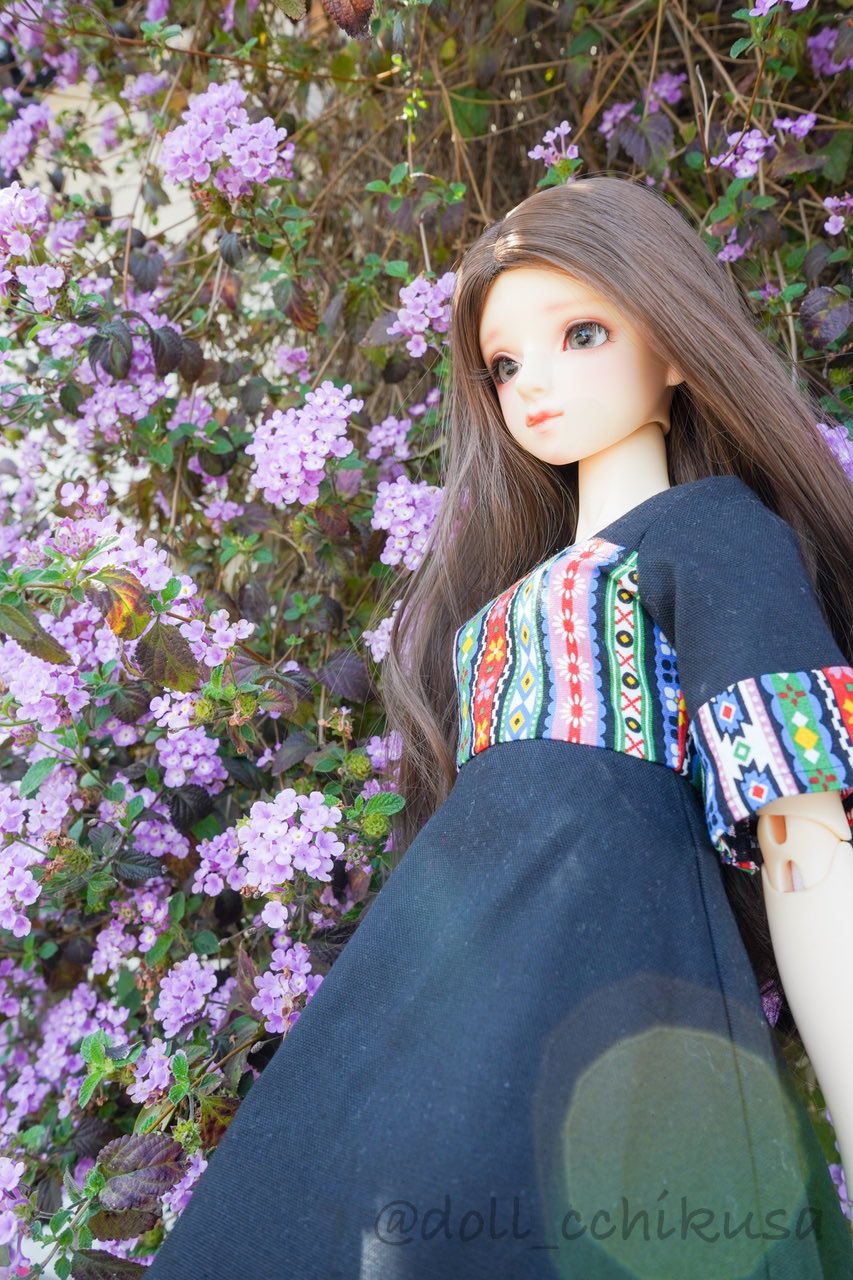 ちぐさ人形 AZONE INTERNATIONAL::えっくす☆きゅーと