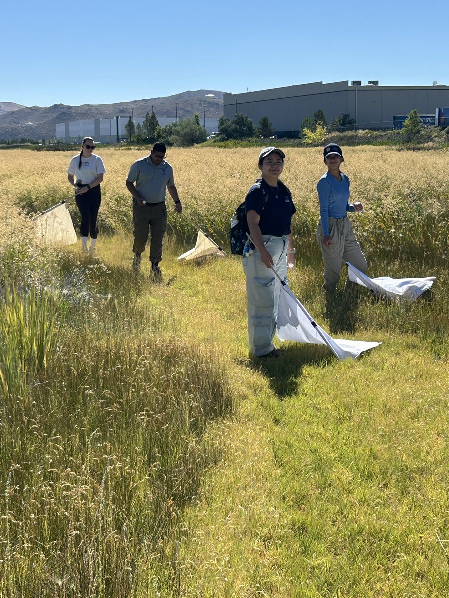 Today’s tick haul from Swan Lake, NV