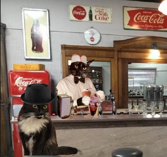 XanawuCats's tweet photo. @MrWuggums heri quietly slips into #sweetfangs backdors.. hemlo wuggie!! im so glad to seeings mew!! is an big lines out there mew must beings so busy.. can im gets an cheeburger an frys when mew has an chances! everypaw in #xanawu in that lines out there!
#chilltent #summerofrubs 😸💗 https://t.co/JO90zpyQtC