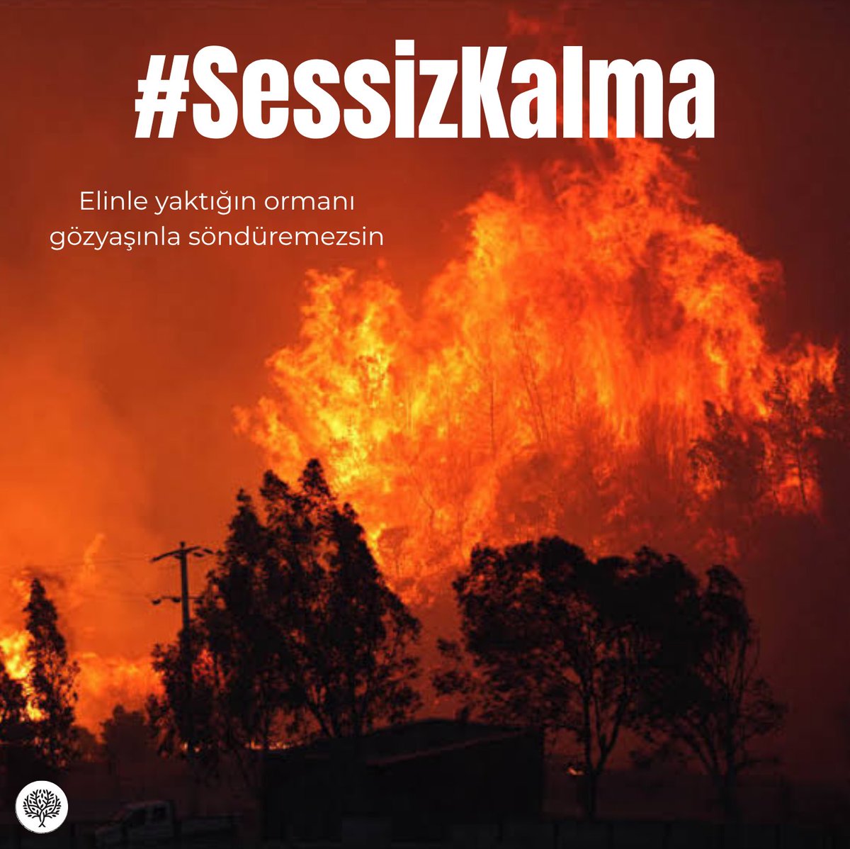 CEVKA_'s tweet photo. #SessizKalma

Sinop’ta büyük bir orman yangını var. Saatlerdir resmi kanallardan tek bir açıklama yapılmadı. Afetlerde bilgi paylaşımı, en az müdahale kadar hayati. Bu sessizlik kabul edilemez; umarız ekiplerimiz yeterli destekle yangını kontrol altına almaya çalışıyordur. https://t.co/rGvxaYFVal