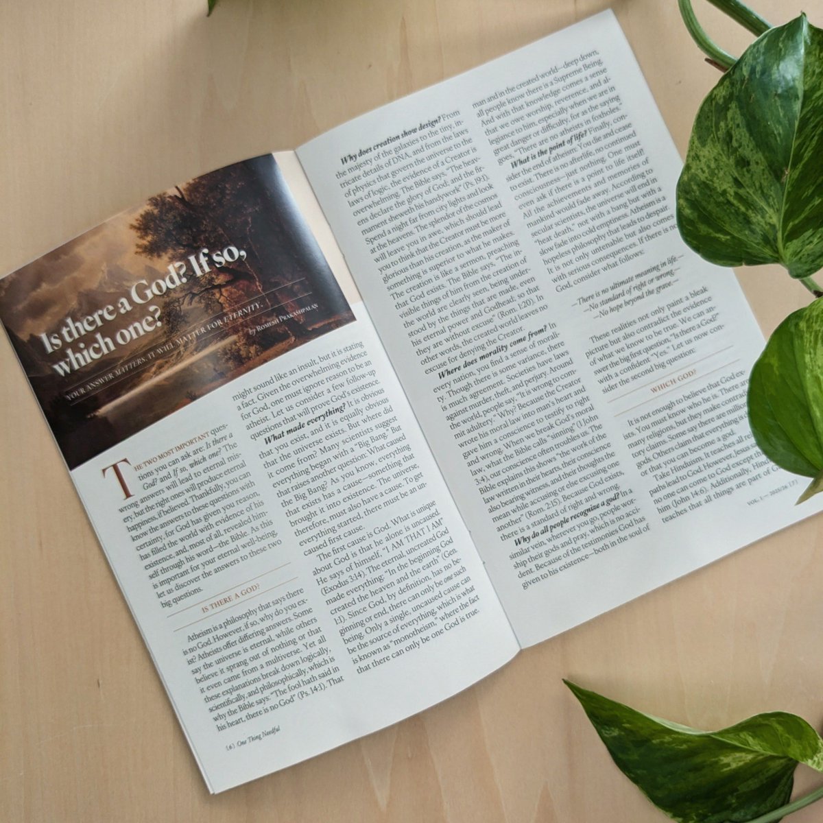 One Thing Needful is a brand new magazine from Grange Press—an evangelistic tool for your community. More details soon, including how to get copies.

This is an "unbranded" resource—no denominational promotion. The contents are also available at otnmag.com