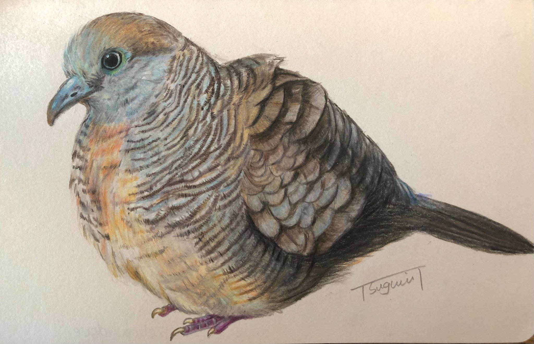 鳩ぽっぽ hq720.jpg?sqp=-