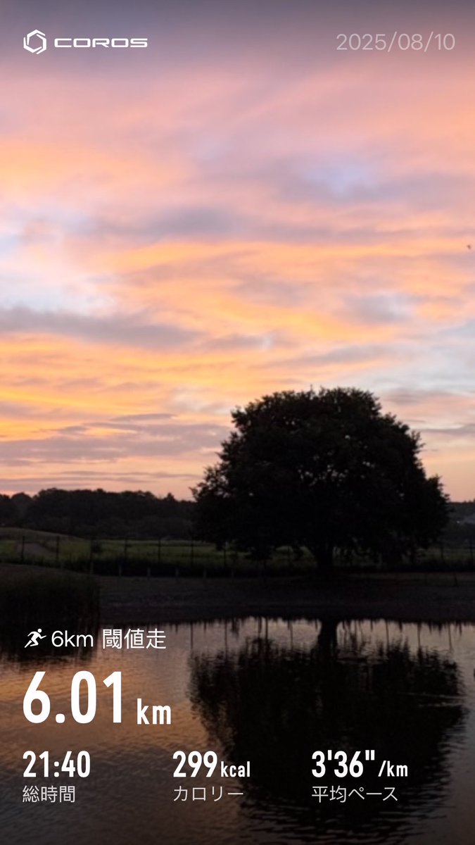 昨日あたりから少し涼しくなってきて、
今朝はとりわけ涼しかったから、膝に不安があるものの、ひと月ぶりにポイント。
暑熱順化出来ると30℃以下は秋🍂と思ったけど、やっぱりまだ夏だった🫩
エッジパリも漸くsweet spotがわかってきたかな？ジョグシューズもsweet spotを探りながら走るスタイル🏃‍♂️