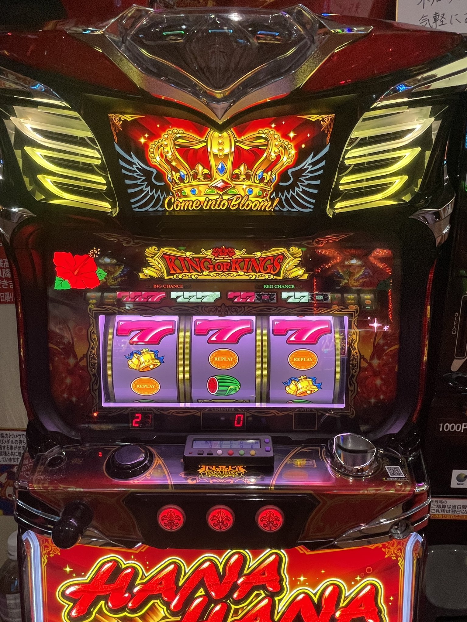 はいびすかすさん専用ページ パフォーマンスの良いハイビスカス「プチオレンジ」 | 高松商事