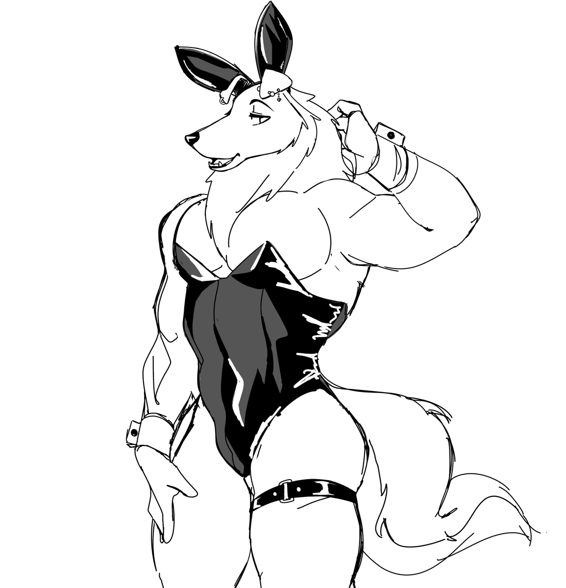 Quick Collie Sketch