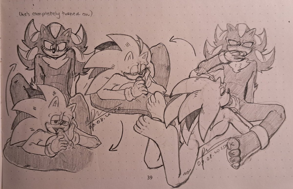 In the name of finally seeing horny hedgies on my tl again, I drew some horny hedgies #Sonadownsfw #shadonicnsfw