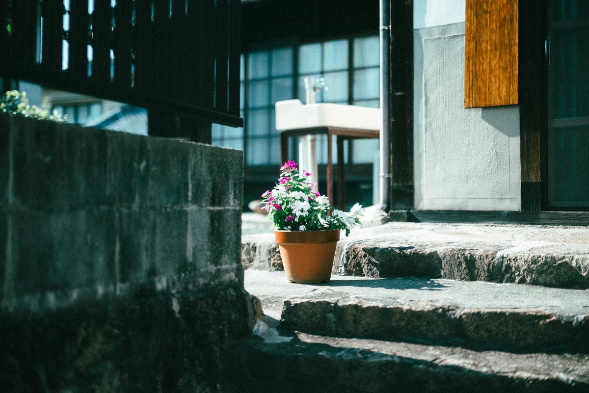 たよ (@ta062yo) on Twitter photo 