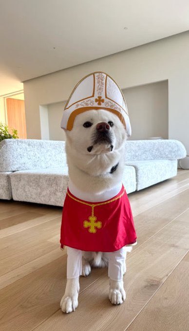 KatAngelica2's tweet photo. Day 265 of politely asking @brian_armstrong for a photo update of Russell! 💙

Eth absolutely sending, base dex integration is here, floor is raised… Russell is itching to pull a blue chip meme run. Hundreds of millies. Scoop some now.

Brian and Angela support the idea now. 🔥 https://t.co/F1J4NBFAp0