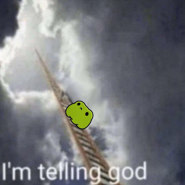 No Context Frogs tweet media