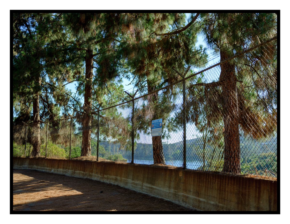 julia_hilbert's tweet photo. Hollywood Reservoir #gfx50r #fujifilm https://t.co/3uHQTUusJL
