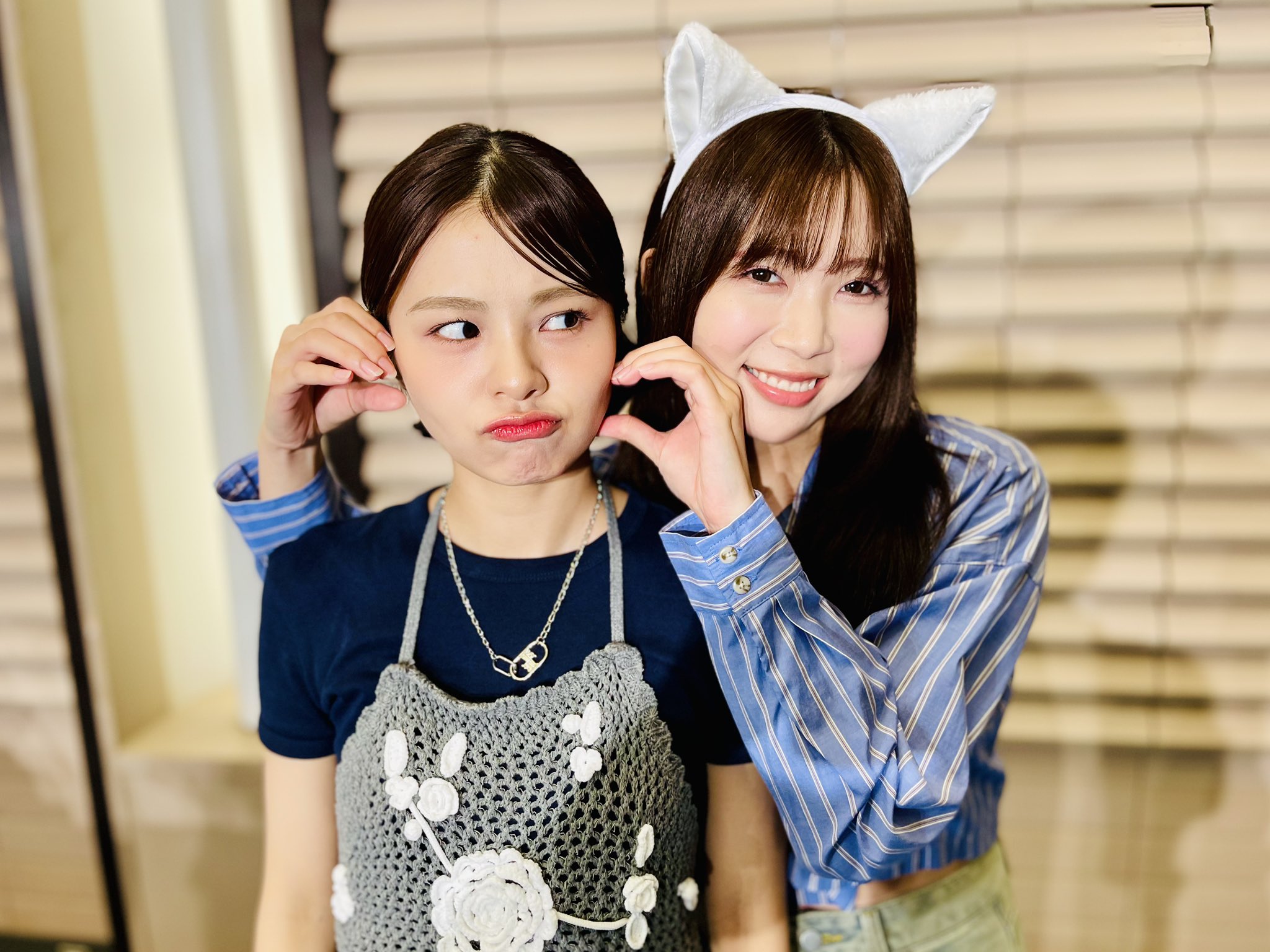 あきにゃん♪ページ❷ Traitor on X: 