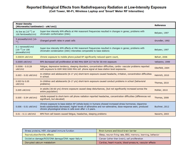 Truth and Reality tweet media
