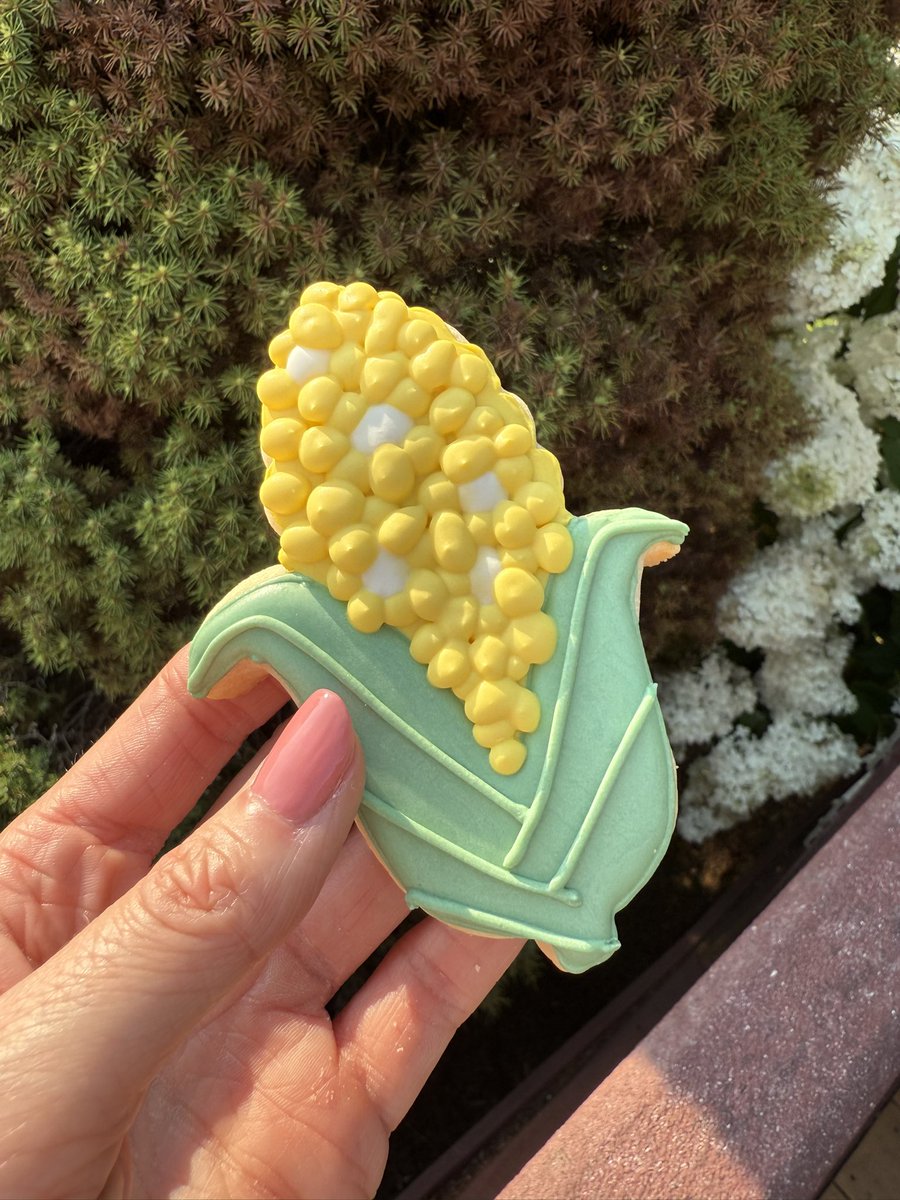 Karen Braun tweet media