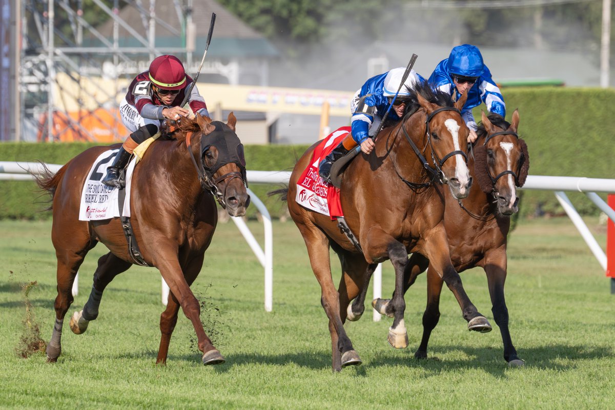 Erica Miller tweet media